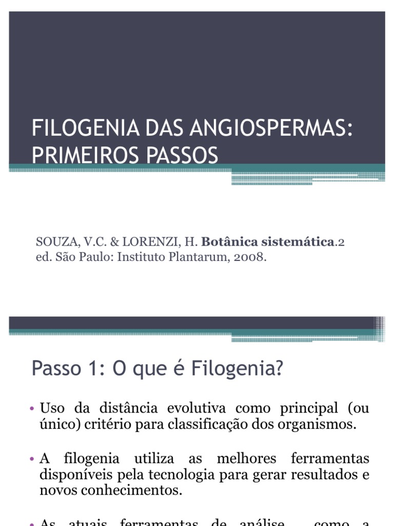 THARCIO ADRIANO VASCONCELOS BIOLOGIA REINO PLANTAE CIÊNCIA NA ESCOLA  23.08.2019, image size:768x1024