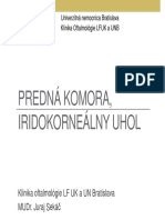 261 Iridokornealny Uhol A Predna Komora PDF 5ea86f9a1a7e5