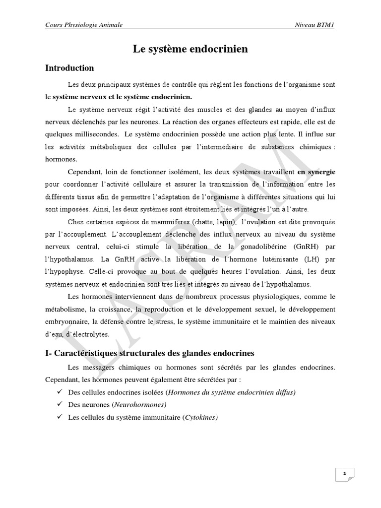 Introduction au système endocrinien | PDF | Hypophyse | Hypothalamus