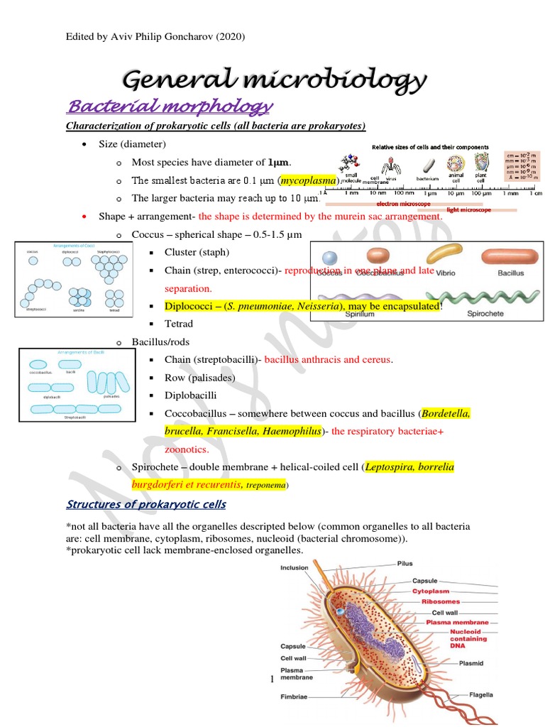 General Microbiology | PDF
