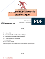 Muscle strié sq (1)