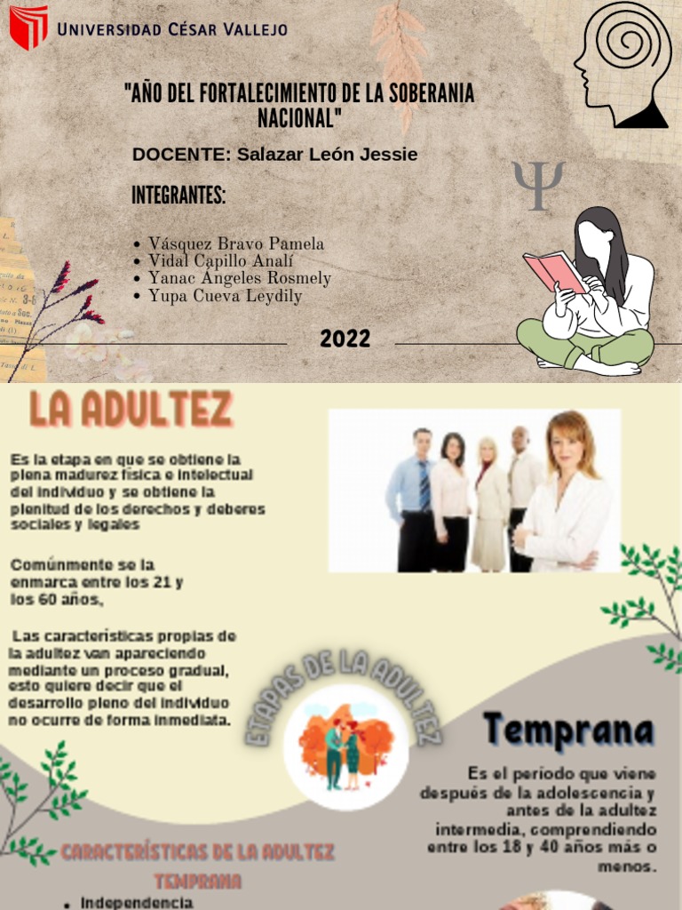 Infografía Sesión 13 (La Adultez) | PDF | Adultos | Vejez