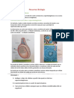 Resumo Biologia Gónadas e gametogénese