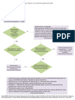 Fluxo - Anemia Gestacional