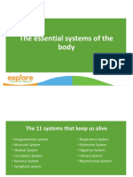 The Body Systems