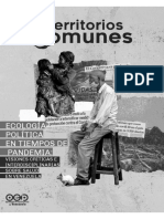 Ecología Política en Tiempos de Pandemia:: Visiones Críticas E Interdisciplinarias Sobre Salud en Venezuela