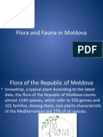 Flora and Fauna in Moldova