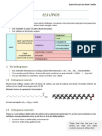 APUNTS Lipids PDF