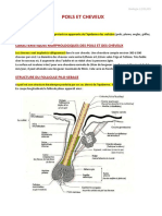 Poil de Cheveux