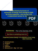 Energy 1 Introduction