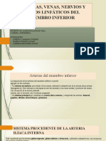 Diapositiva de Miem - Inf.paq - Cardiovascular