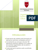 Organización Química de La Célula