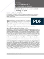 Homeostasia Del Calcio en La Enfermedad Tiroidea Del Perro y Del Gato