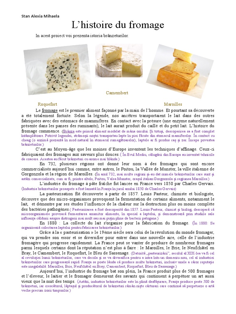Proiect Franceza | PDF