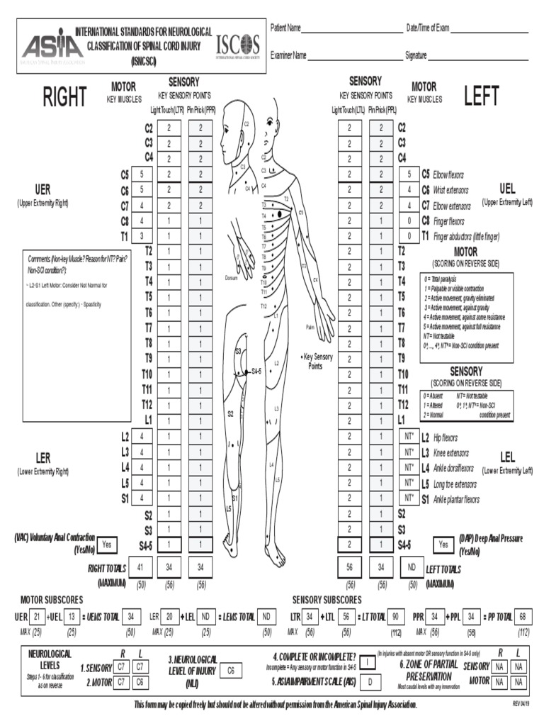 Neurological Classification of Spinal Injury | PDF