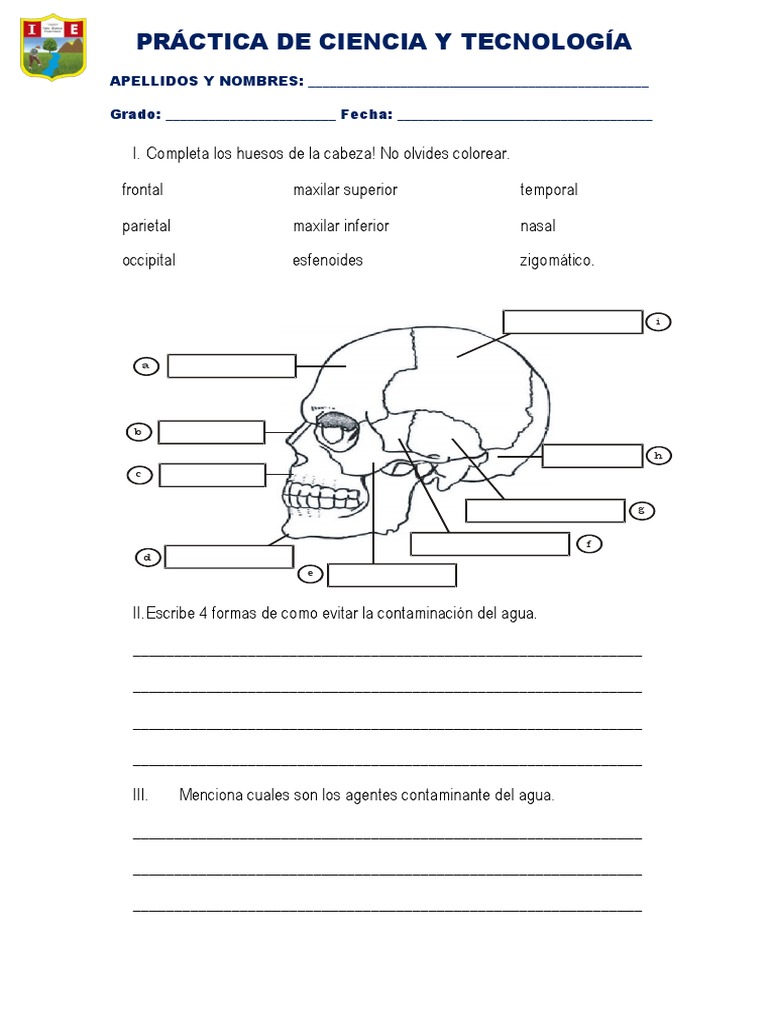 Práctica de Ciencia y Tecnología Ii B | PDF