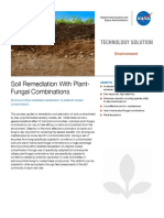 Soil Remediation With Plant-Fungal Combinations