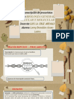 Transcripcion de Los Genes en Las Celulas Procariotas