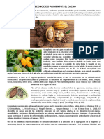 UN RECONOCIDO ALIMENTO Cacao - Texto