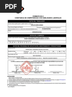 FORMATO 17 Aviso de Registro REPSE | PDF | Justicia | Crimen y violencia
