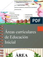 Areas Curriculares