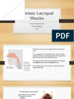 Extrinsic Laryngeal Muscles
