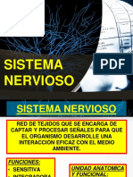 Power Sistema Nervioso 1, 2022