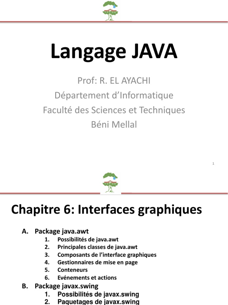 Chapitre6 Cours de JAVA | PDF