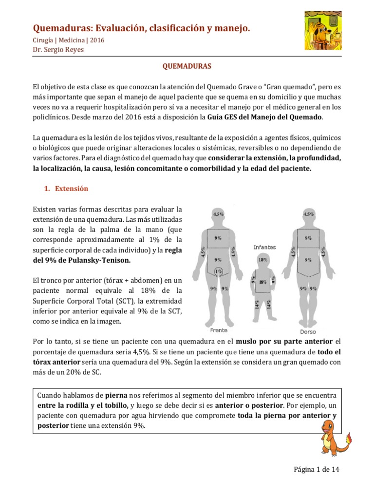 Clasificación y manejo de quemaduras | PDF | Quemar | Herida