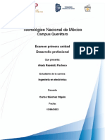 Desarrollo Profesional