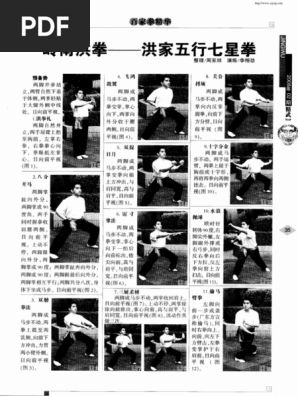 洪拳秘要（内部資料） 1716033304?v=1
