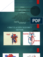 Diapositivas Anatomia 1 1 2
