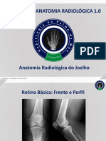 Anatomia Radiol+¦gicado Joelho