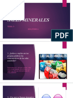 SALES MINERALES: LAS CARACTERÍSTICAS Y FUNCIONES ESENCIALES