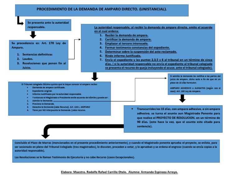 Procedimiento Demanda de Amparo Directo | PDF | Demanda judicial | Ley ...