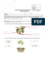 Evaluacion de Ciencias Unidad 3