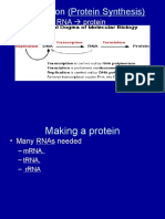 Translation (Protein Synthesis) Lecture6