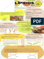 Infografia Evolucion Humana Ilustrado Colores Neutrales