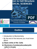 Cell Structure BIOMED 2020