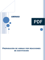 Aminas Diapositivas