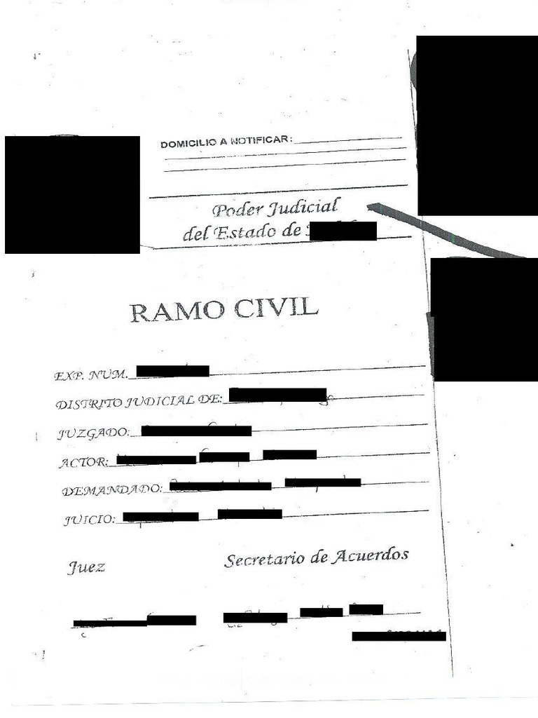 Accion Cambiaria Directa PDF