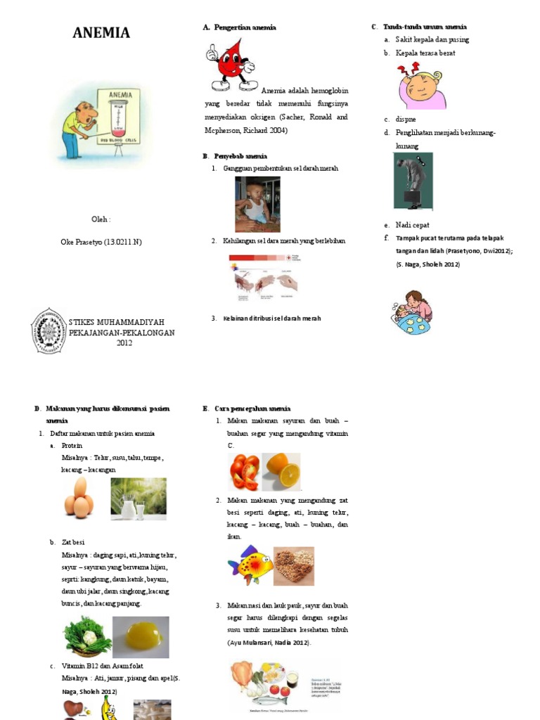 Leaflet ANEMIA | PDF