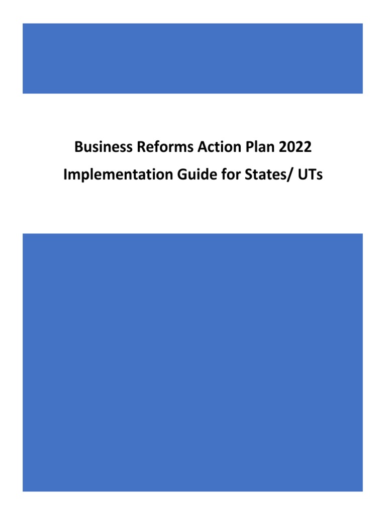 Implementation Guide Brap 2022 Pdf Online And Offline Excise