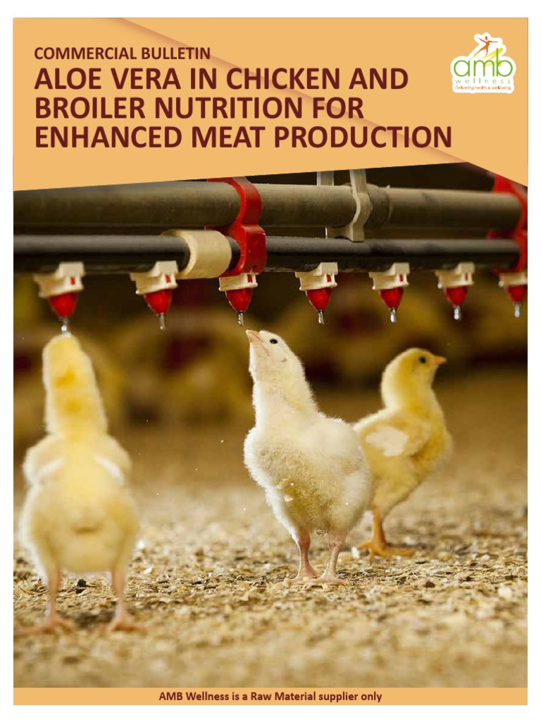 Commercial Brochure Chicken and Broiler Nutrition PDF Antimicrobial Resistance Dietary