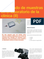 3 - Procesado de Muestras