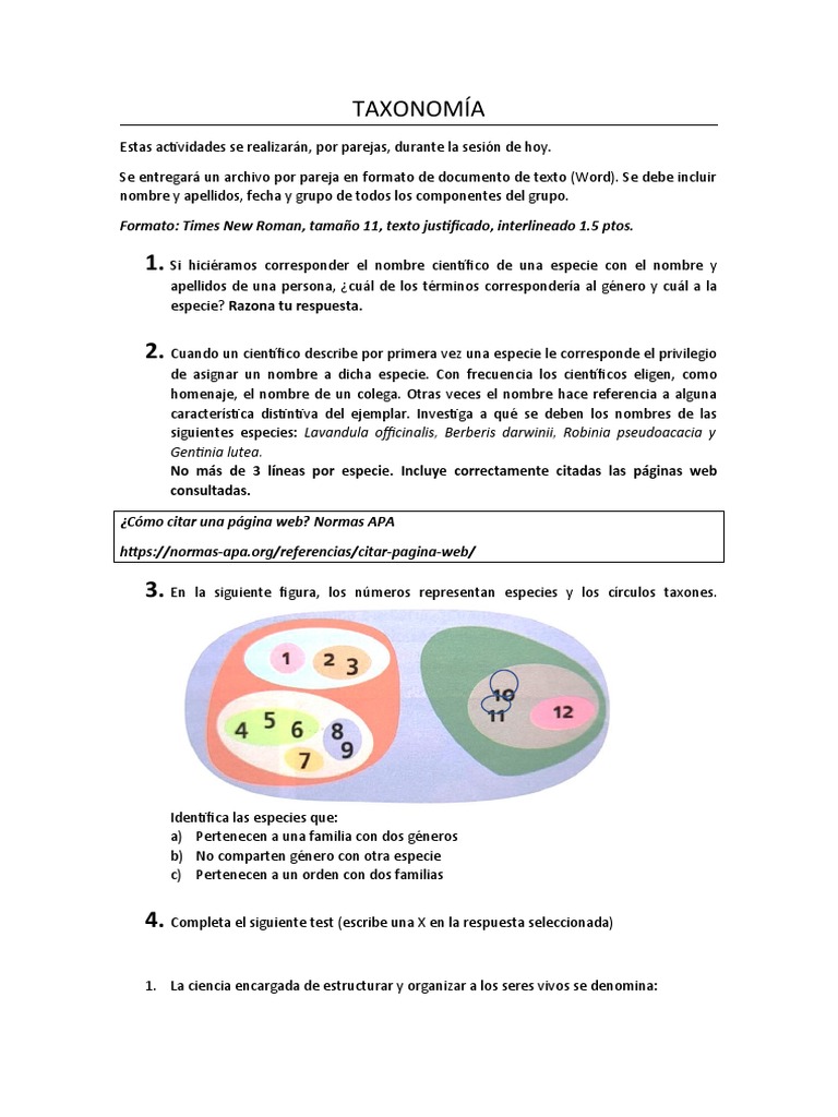 TAXONOMÍA PDF