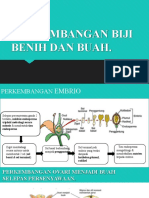 Perkembangan Biji Benih Dan Buah