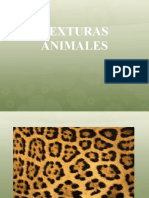 Texturas Animales