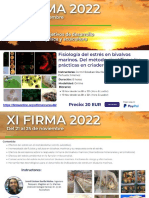 Flyer Curso06 - XIFIRMA2022