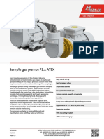 DE420009 P2.x ATEX